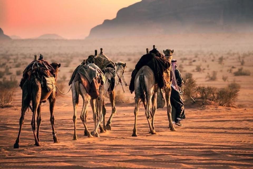 Tamim Luxury Wadi Rum Camp Εξωτερικό φωτογραφία