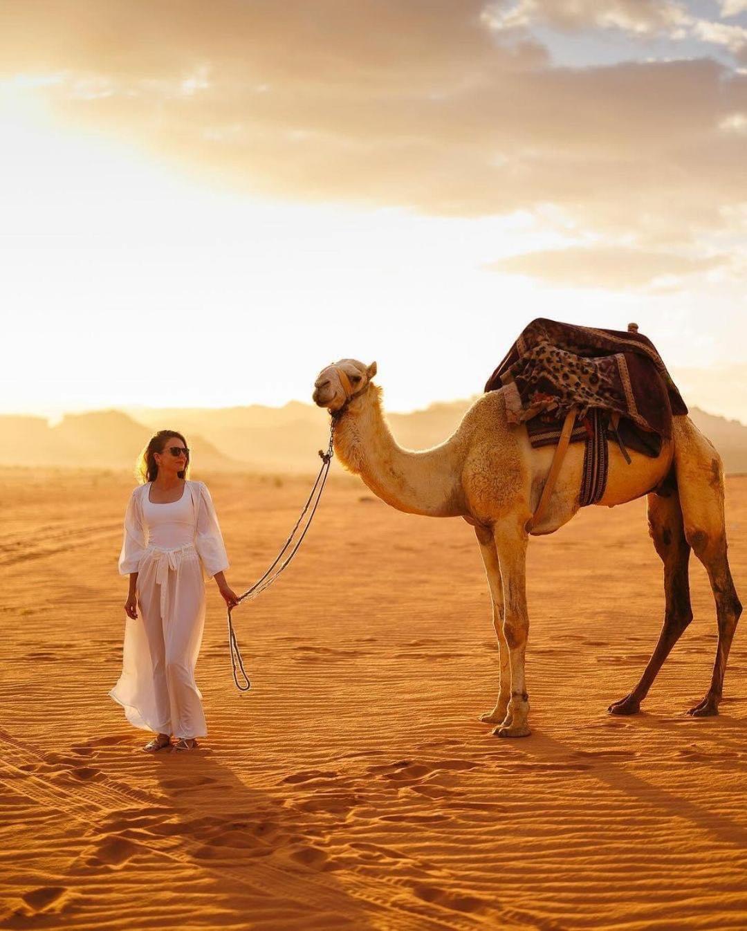 Tamim Luxury Wadi Rum Camp Εξωτερικό φωτογραφία
