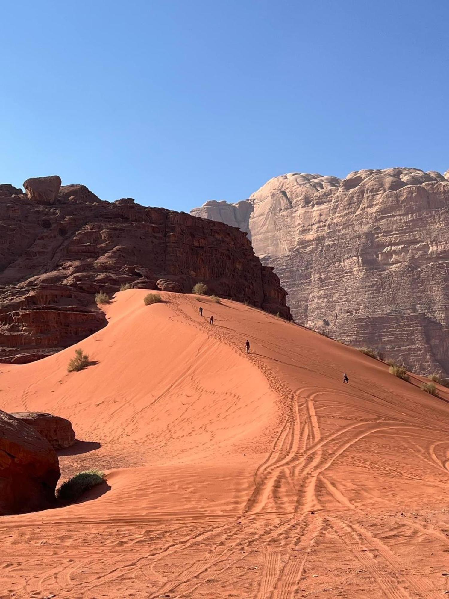Tamim Luxury Wadi Rum Camp Εξωτερικό φωτογραφία